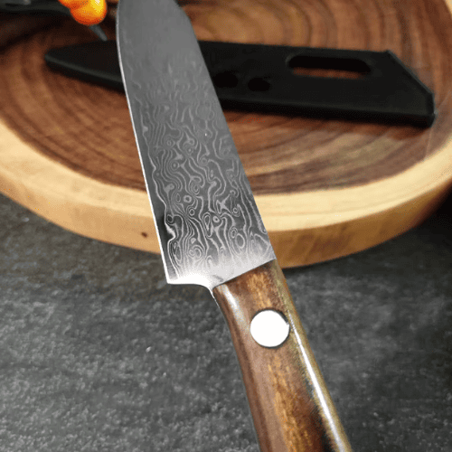 TitanEdge Damascus Knife